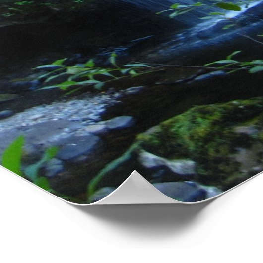 滝ポスター ポスター (角)