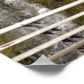 滝ポスター ポスター (角)