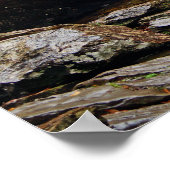 滝ポスター ポスター (角)