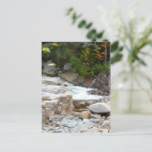 滝ロッキーストリーム ポストカード (スタンド正面)