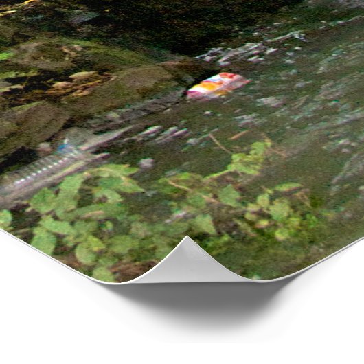 滝中国の ポスター (角)