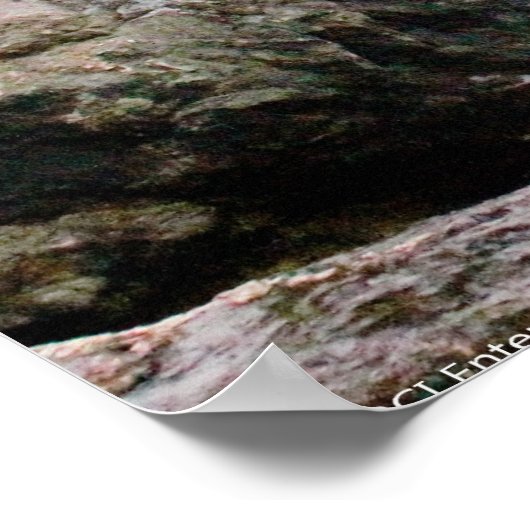 滝素晴らし ポスター (角)