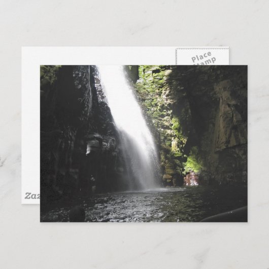滝2、ベネズエラのジャングルランドスケープファインアート ポストカード (正面/裏面)