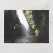 滝2、ベネズエラのジャングルランドスケープファインアート ポストカード (正面)