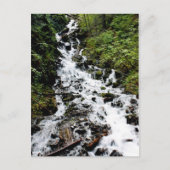 滝2 ポストカード (正面)