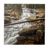 滝4 タイル (正面)