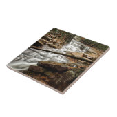 滝4 タイル (側面)