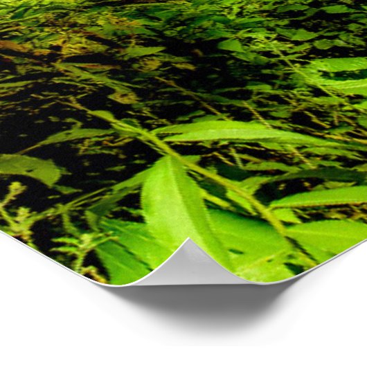 滝 |エクアドル、サンラファエル滝 ポスター (角)