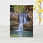 滝 |オハイオ州のスギ滝 カード (黄色い花)