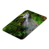 滝 |オハイオ州クヤホガバレー マグネット (左側)