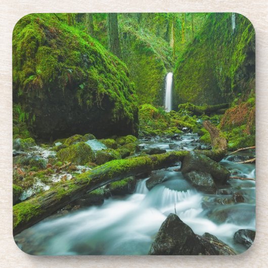 滝 |オレゴン，グロット滝 コースター (正面)