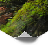 滝 |オレゴン，グロット滝 ポスター (角)