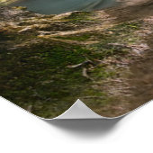 滝 |カンチャナブリ,タイ ポスター (角)