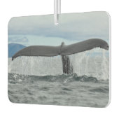 滝 カーエアーフレッシュナー (左)