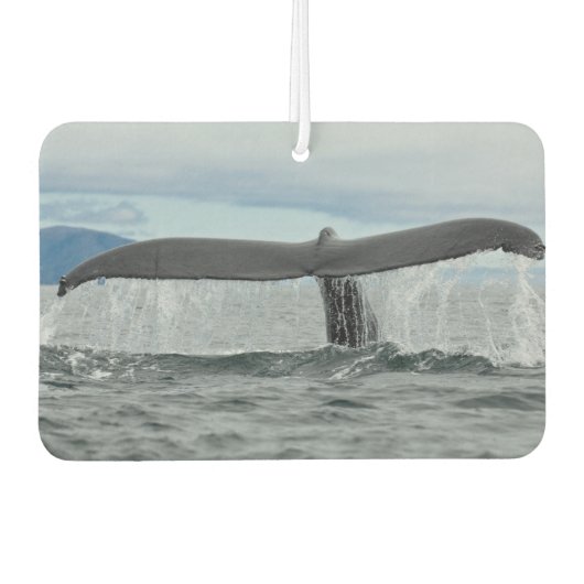 滝 カーエアーフレッシュナー (正面)