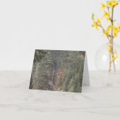 滝 カード (黄色い花)