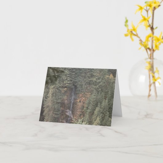 滝 カード (黄色い花)