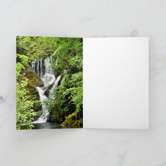 滝 カード (内部)