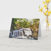 滝 カード (黄色い花)