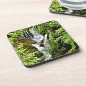 滝 コースター (左側)