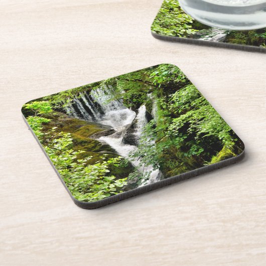 滝 コースター (左側)