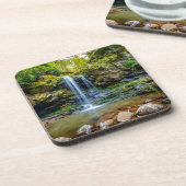 滝 |スモークマウンテン国立公園 コースター (左側)