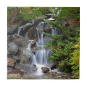 滝 タイル (正面)