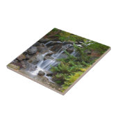 滝 タイル (側面)