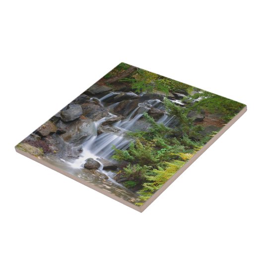 滝 タイル (側面)