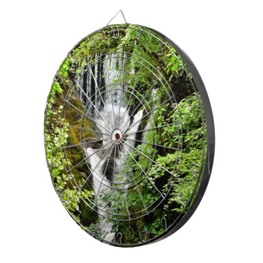 滝 ダーツボード (正面右)