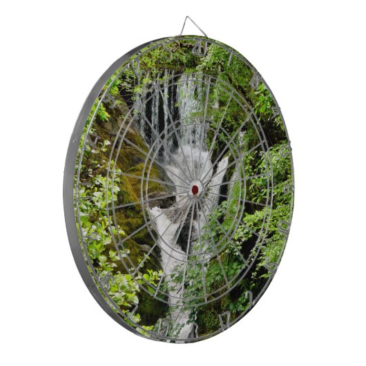 滝 ダーツボード (正面左)