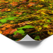 滝 |トリベルグ滝，ドイツ ポスター (角)