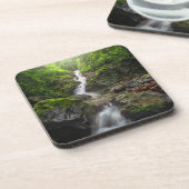 滝 |パヤオマウンテン国立公園 コースター (左側)