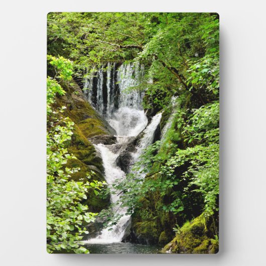 滝 フォトプラーク (正面)