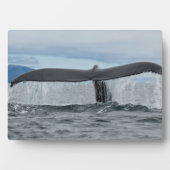 滝 フォトプラーク (正面)