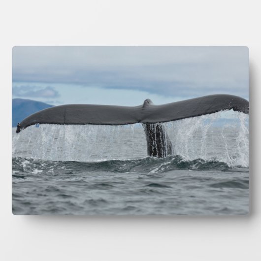 滝 フォトプラーク (正面)