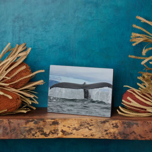 滝 フォトプラーク (側面)