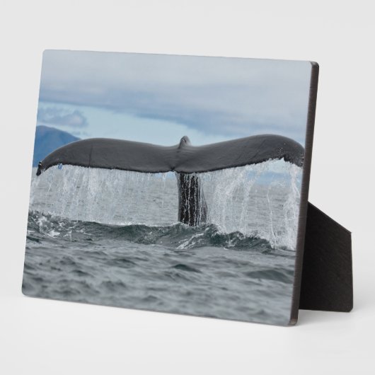 滝 フォトプラーク (側面)