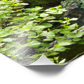 滝 フォトプリント            (角)