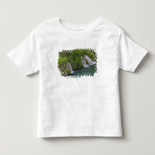滝、プリトヴィツェ湖群国立公園と トドラーTシャツ