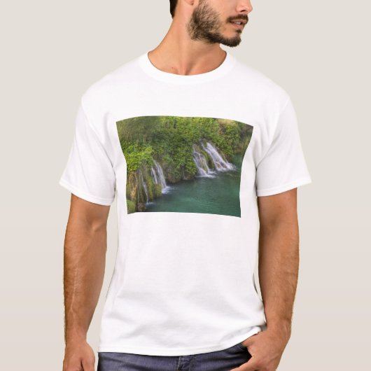 滝、プリトヴィツェ湖群国立公園と Tシャツ (正面)