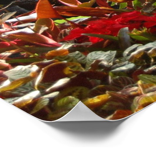 滝 ポスター (角)