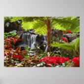 滝 ポスター (正面)