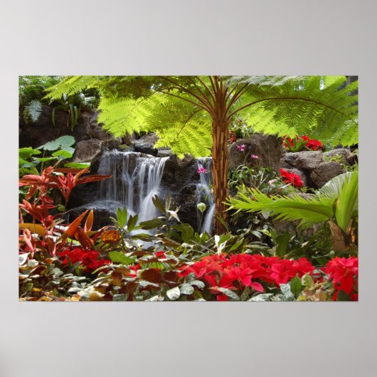 滝 ポスター (正面)