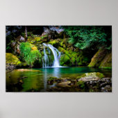 滝 ポスター (正面)