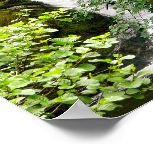 滝 ポスター (角)