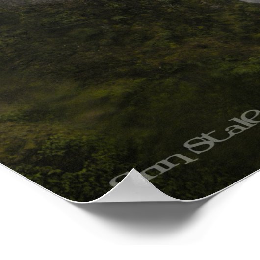 滝 ポスター (角)