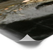 滝 ポスター (角)