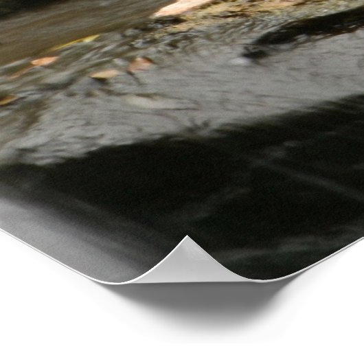 滝 ポスター (角)