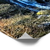 滝 ポスター (角)